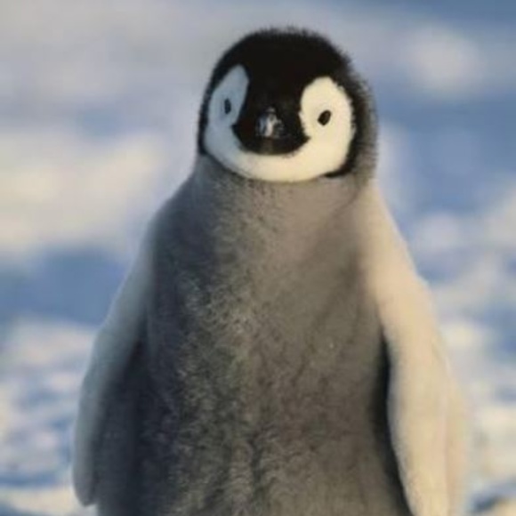 Meet your Posher, Sharon - Picture 1 of 1